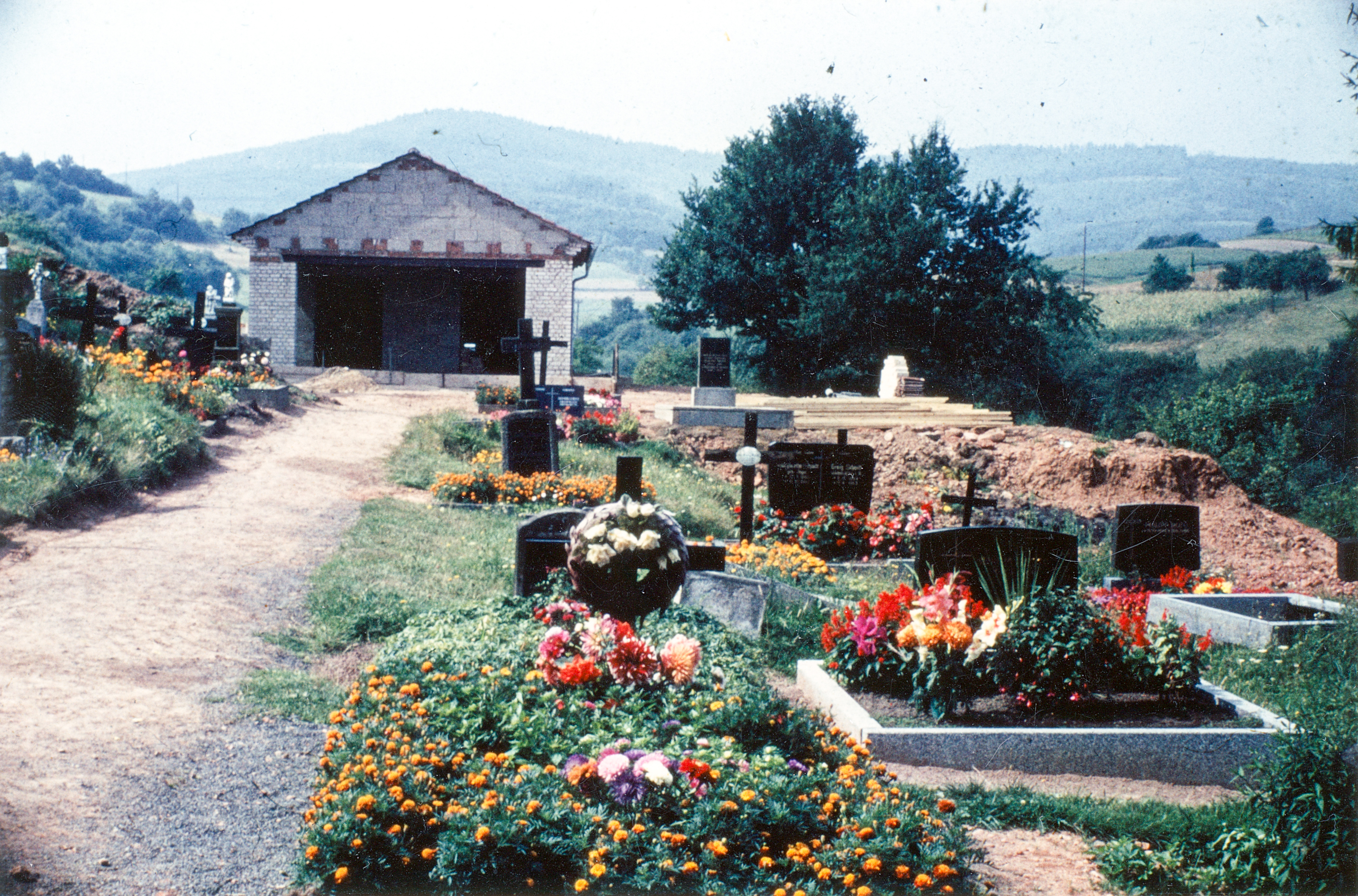 Friedhof Juni 1964